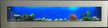 Blue Sea Aquariums